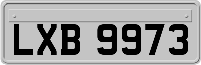 LXB9973