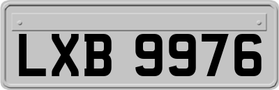 LXB9976