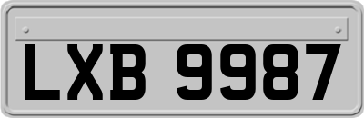 LXB9987