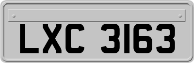 LXC3163