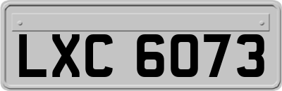 LXC6073