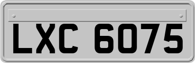 LXC6075