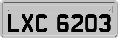 LXC6203