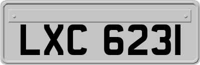LXC6231