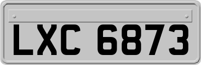 LXC6873