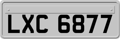 LXC6877