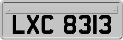 LXC8313
