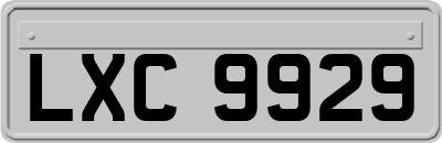 LXC9929