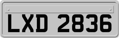 LXD2836