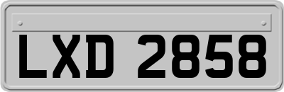 LXD2858