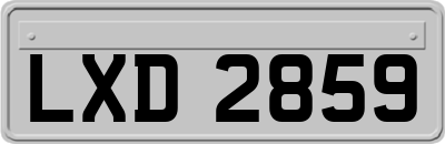 LXD2859