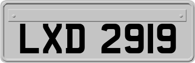 LXD2919