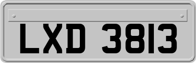 LXD3813