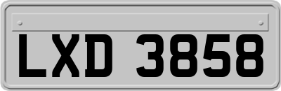LXD3858