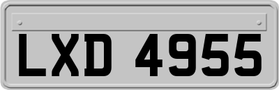 LXD4955