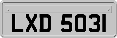LXD5031