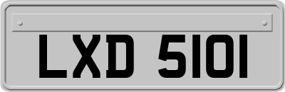 LXD5101