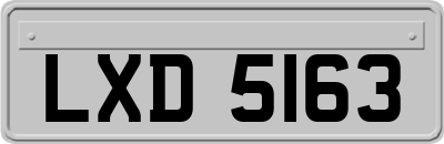 LXD5163