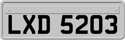 LXD5203