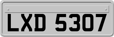 LXD5307