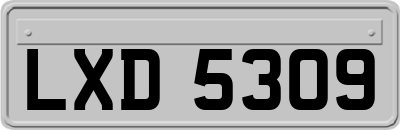 LXD5309