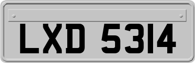 LXD5314
