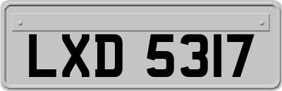 LXD5317