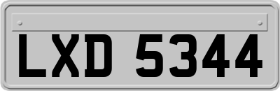 LXD5344