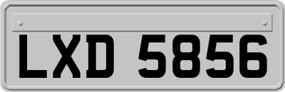 LXD5856