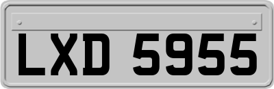 LXD5955