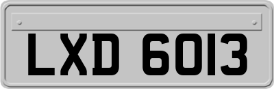 LXD6013
