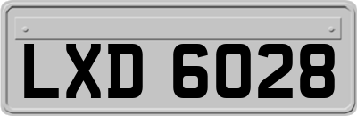 LXD6028