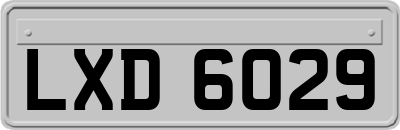 LXD6029