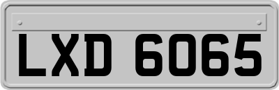 LXD6065
