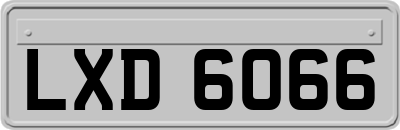LXD6066