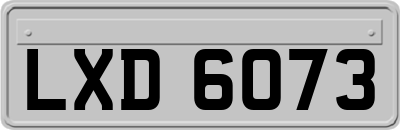 LXD6073
