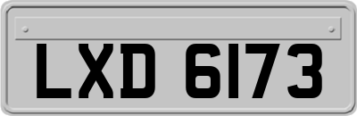 LXD6173