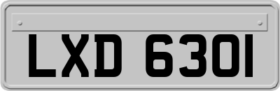 LXD6301