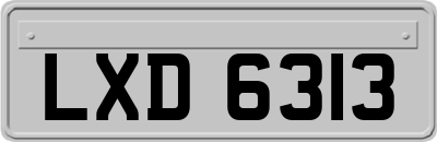 LXD6313