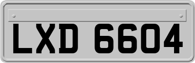 LXD6604