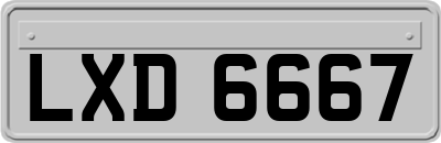 LXD6667