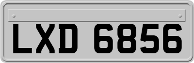LXD6856