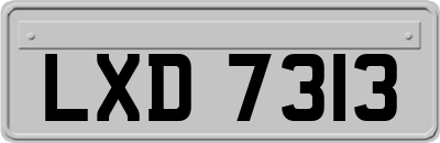 LXD7313