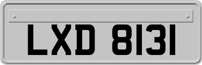 LXD8131