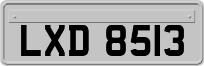 LXD8513