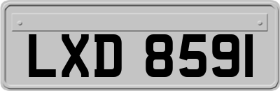 LXD8591