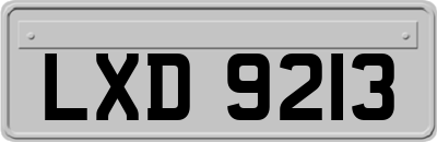 LXD9213