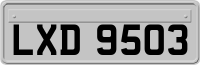 LXD9503