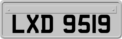 LXD9519