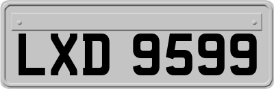 LXD9599